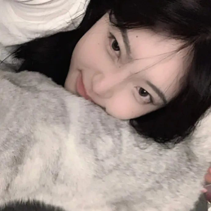 我的情敌女婿
